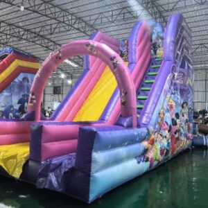 Disney Slide