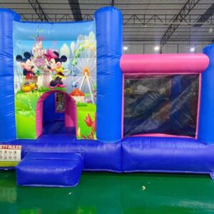 Disney Bouncy House of Ball