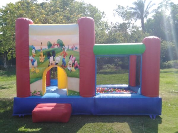 Disney bouncy house of ball
