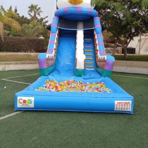 The Penguin Slide Water Pool