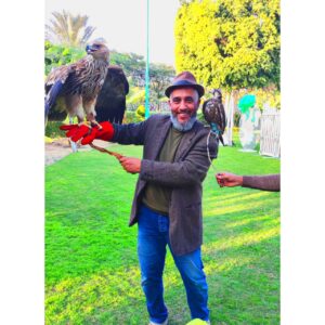 Animal show