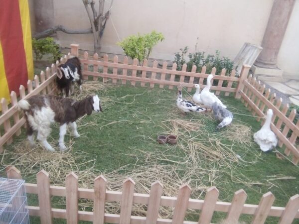 Mini farm